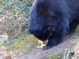 Tiergarten Schönbrunn am 05.03.2026